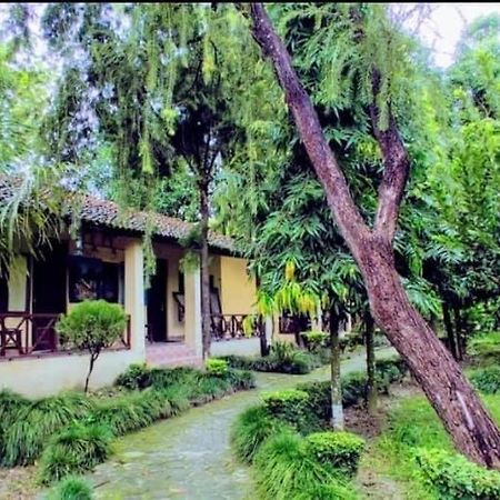 Bardiya Rhino Lodge Bardia Pvt Ltd מראה חיצוני תמונה