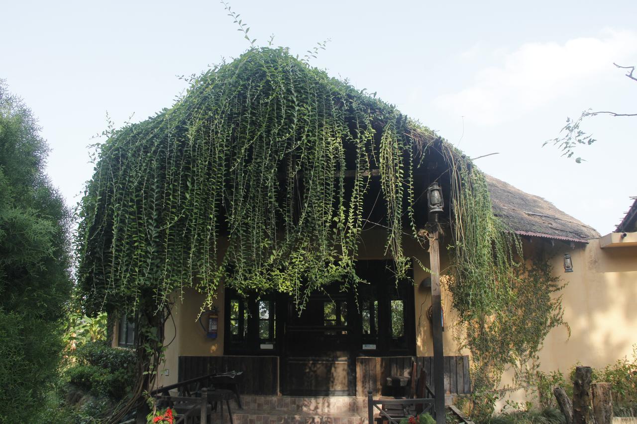 Bardiya Rhino Lodge Bardia Pvt Ltd מראה חיצוני תמונה