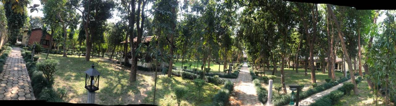 Bardiya Rhino Lodge Bardia Pvt Ltd מראה חיצוני תמונה