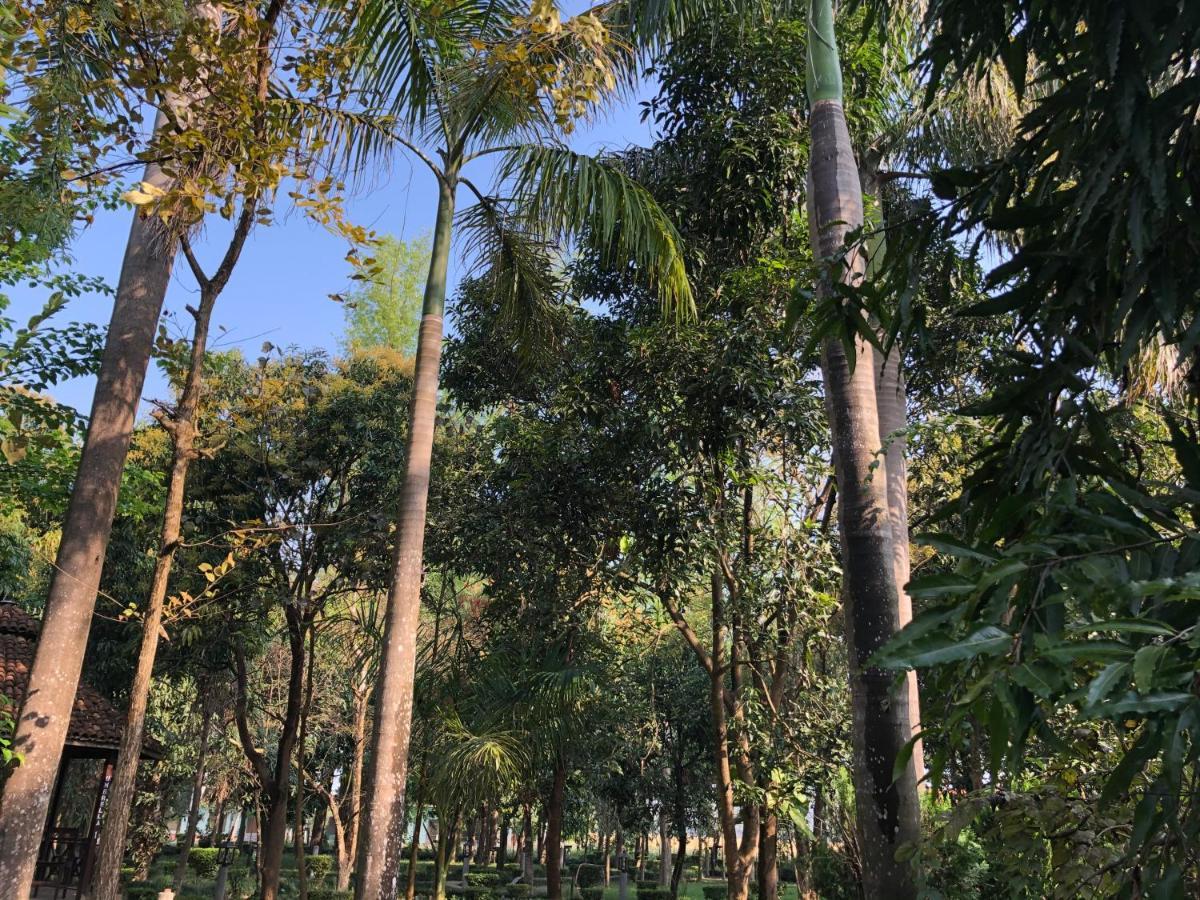 Bardiya Rhino Lodge Bardia Pvt Ltd מראה חיצוני תמונה